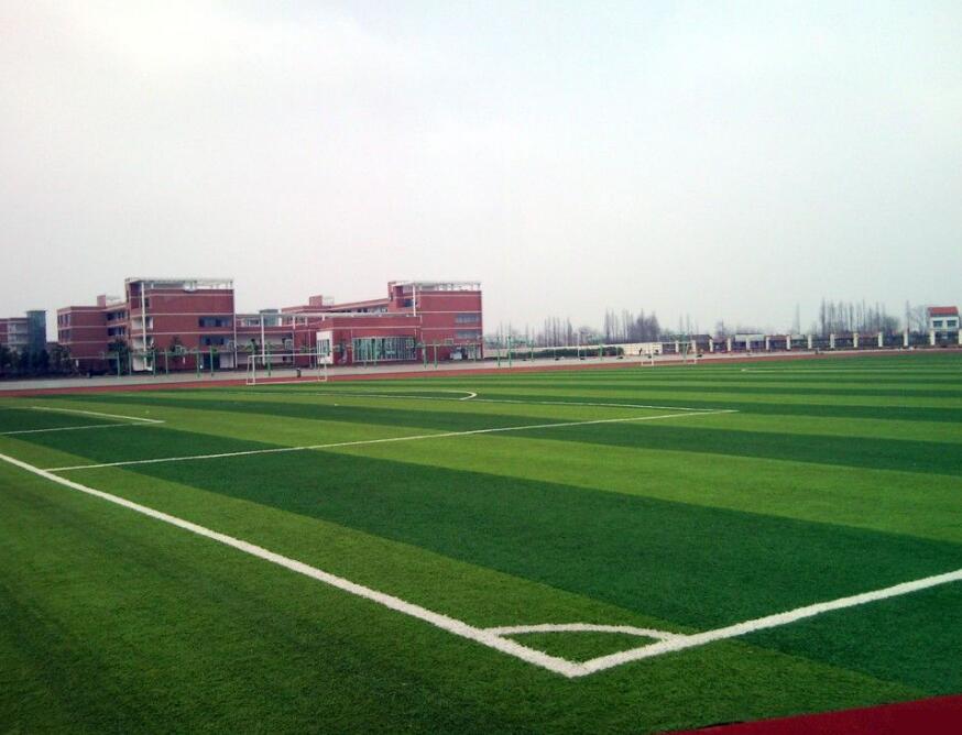 人造草坪足球場案例展示